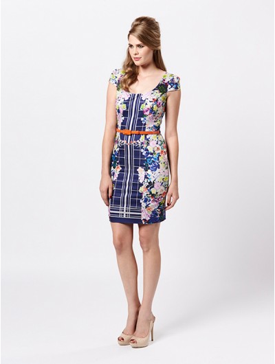 Snap Dragon Dress - Dresses Online from Review Australia
