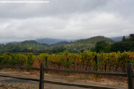Fall Travel Guide to Napa Valley - Napa Valley Vineyards