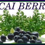 The Health Benefits of Acai Berry