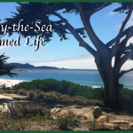Carmel-by-the-Sea - A Charmed Life On California’s Coast