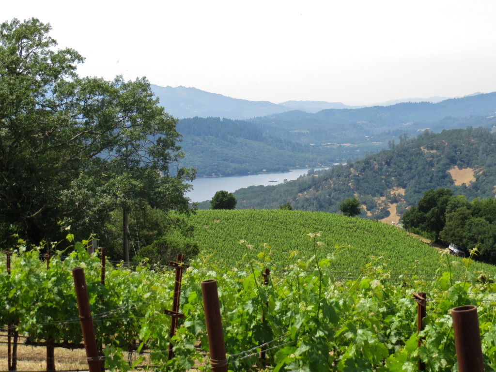 Napa Valley - Chappellet Winery