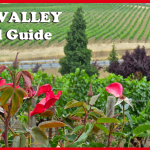 Napa Valley Travel Guide - Summer Edition