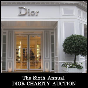 Dior Charity Auction