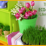 The Easy Eco-Friendly Lifestyle Guide