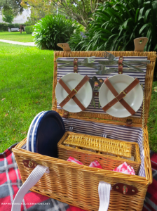 Celebrate National Relaxation Day with Tommy Bahama - Picnic