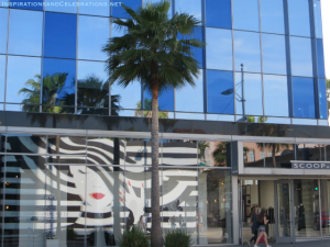 The Ultimate Luxury Travel Guide to Los Angeles - Rodeo Drive 2