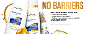 Pantene Repair and Protect Shampoo and Conditioner