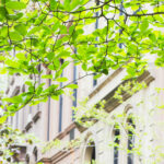 The Californians' Guide to Drought Tolerant Garden Design - Top Tips from Landscape Expert Steve McShane The-Californians-Guide-to-Drought-Tolerant-Garden-Design-1