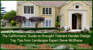 The Californians' Guide to Drought Tolerant Garden Design