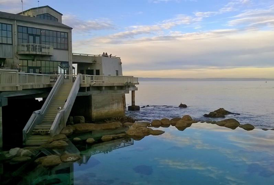 The Ultimate Monterey Bay Vacation Giveaway - Monterey Bay Aquarium