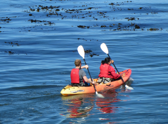 The Ultimate Monterey Bay Vacation Giveaway - Adventures By The Sea Kayaking