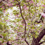 Fabulous Finds: 10 Skincare Products That Make You Look Younger Skincare-That-Makes-You-Look-Younger