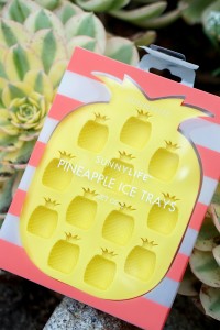 Live What You Love Summer Giveaway - Sunnylife Pineapple Ice Trays