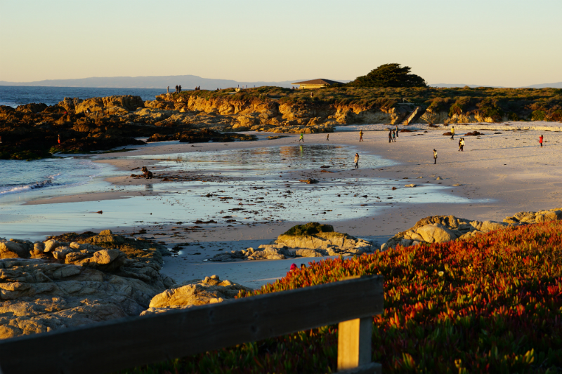 The Local's Guide To The Monterey Peninsula - Top 10 Places To See When Visiting The Central Coast