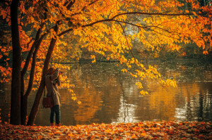 Fall Fun Guide: 5 Inspiring Ways To Get Into The Autumnal Spirit