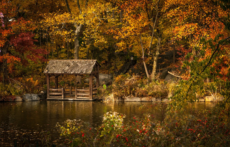 Fall Foliage Trips To Take On The East Coast This Season
