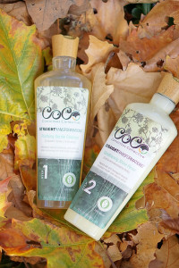 The Fun & Fashionable Fall Giveaway - Coco Conscious Haircare