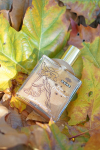 The Fun & Fashionable Fall Giveaway - Nuxe Paris Dry Oil