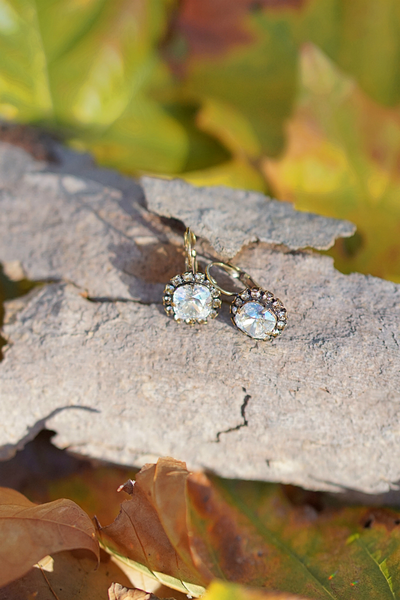 The Fun & Fashionable Fall Giveaway - Papyrus Crystal Earrings