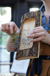 Folktale Artisan Workshop on How To Create a DIY Mini Wall Garden