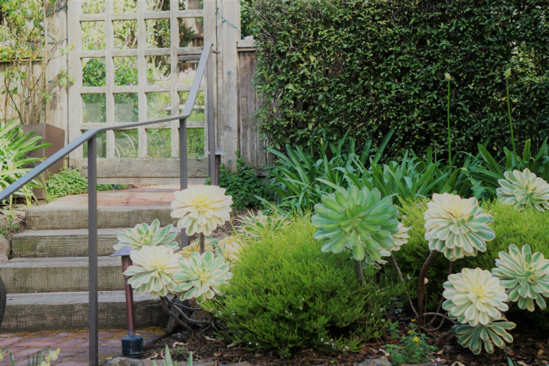 Simple Ways To Refresh Your Home Garden for Spring - Succulent Garden