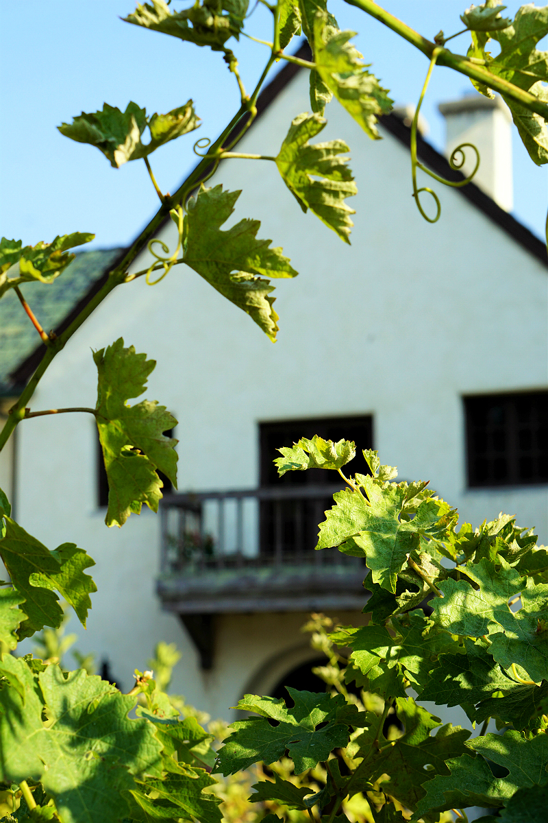 Folktale Vineyards and Winery in Carmel Valley California