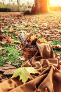 Inspired By The Season - Fun Ways To Enjoy The Best Things About Fall - Picnic in the Park