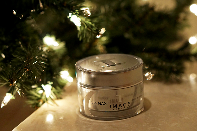 The Elements of Style Holiday Giveaway - Image Skincare
