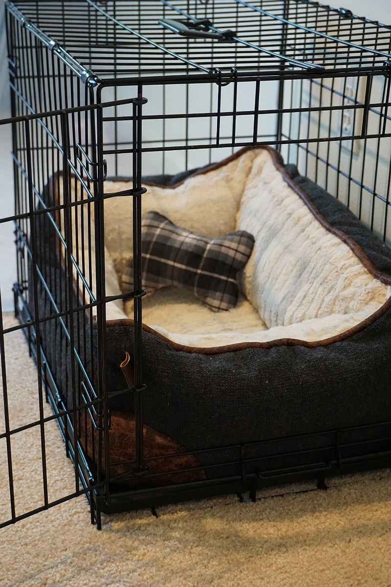 Puppy Love - Tips and Tricks for New Puppy Parents - Crate Training