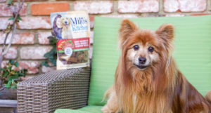 Milo's Kitchen Homestyle Dog Treats That Your Furry Friends Will Love