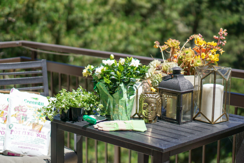 Summer Gardening Guide: How To Quickly & Easily Update Your Patio
