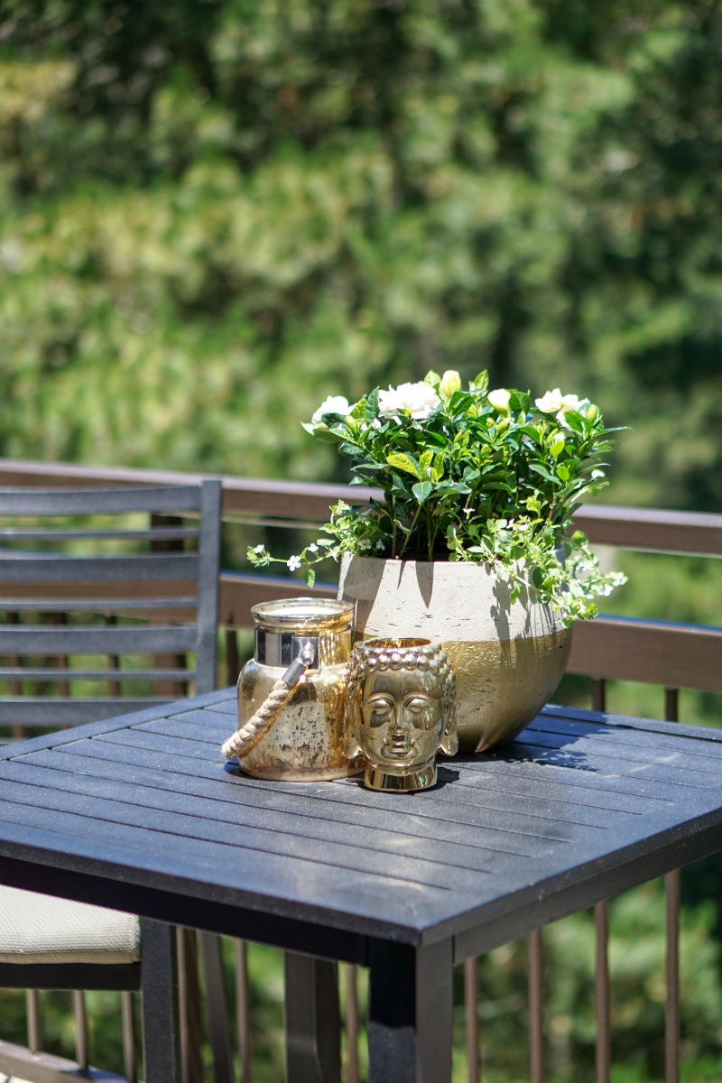 Summer Gardening Guide: How To Quickly & Easily Update Your Patio