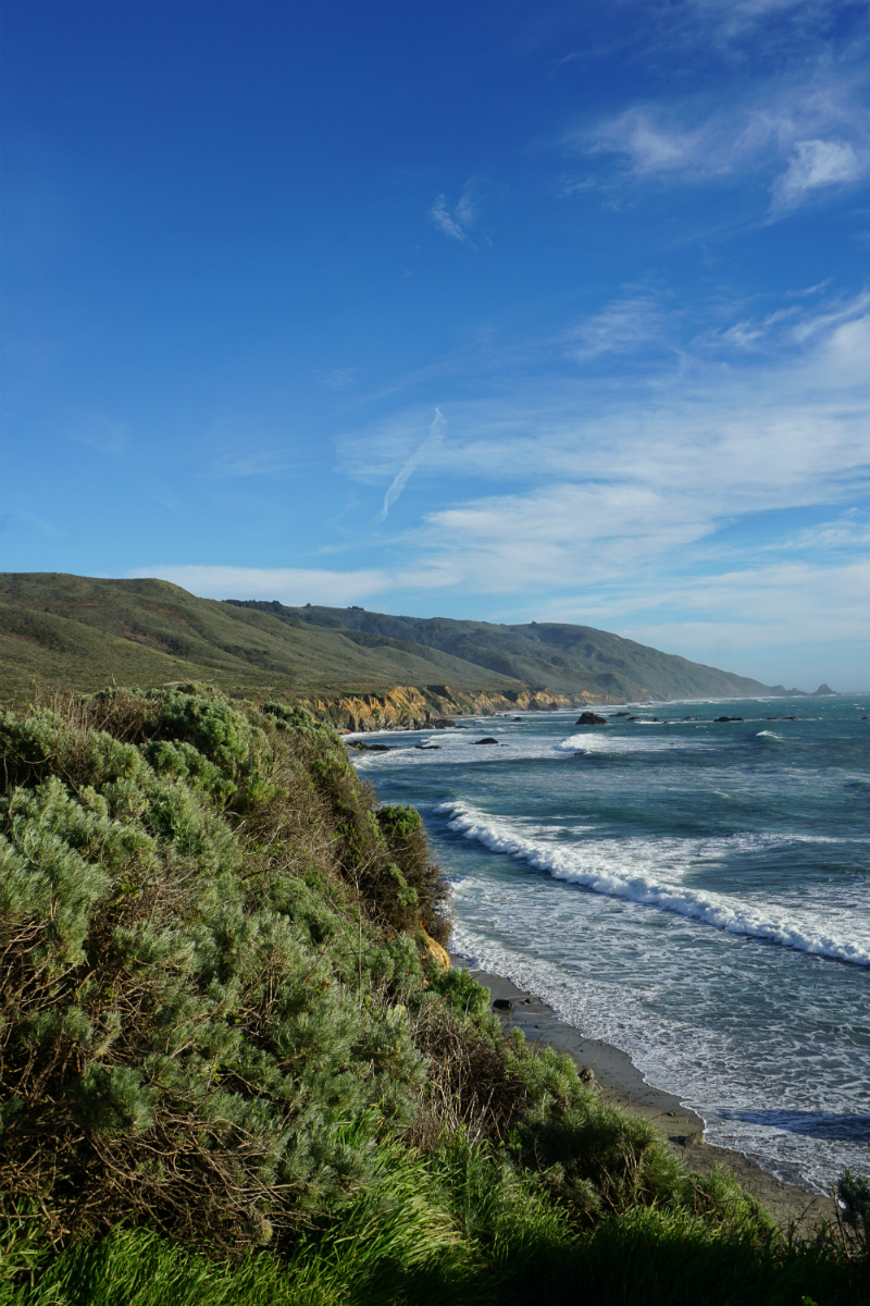 The Local's Guide to Big Sur - Where To Go and What To Do in Big Sur California