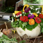 DIY Pumpkin Flower Centerpiece Tutorial for Fall Entertaining