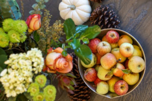 Fall Fashion Guide: What To Wear To Go Apple Picking