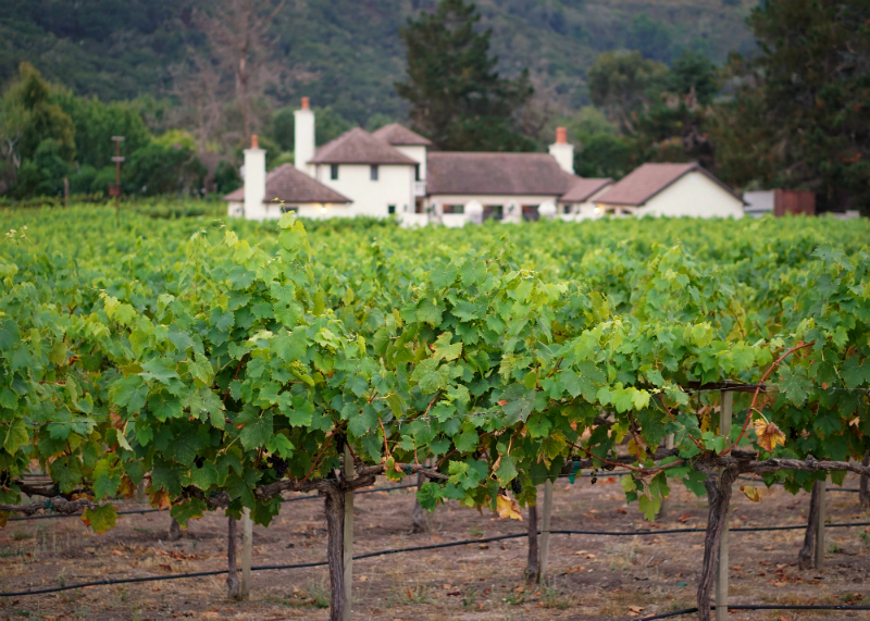 5 Inspiring Places to Relax on The Monterey Peninsula - Folktale Vineyards