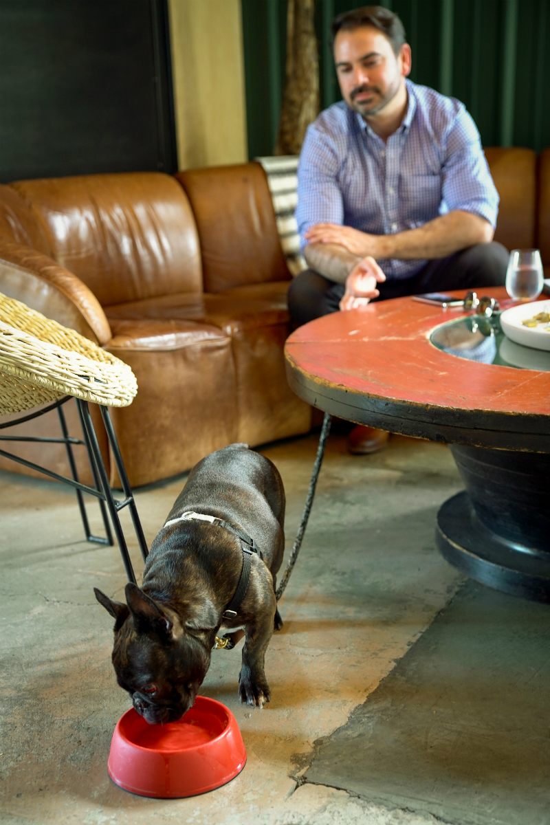 The Dog Lover's Guide to Visiting Downtown Napa