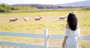 5 Insta-Worthy Restaurants on The Monterey Peninsula