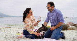 Entertaining Guide: How To Make Your Beach Picnic More Joyful with Cupcake Vineyards