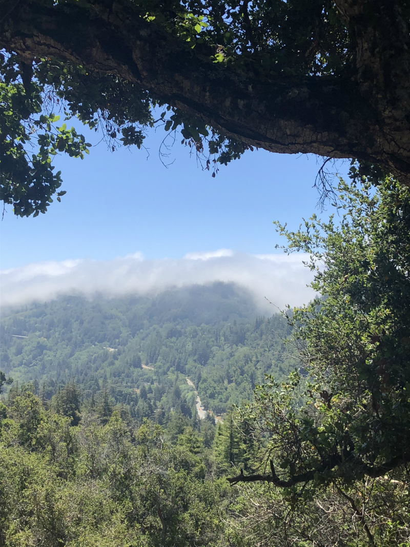 Travel Guide: Inspiring Places to Visit in Big Sur California