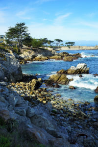 Travel Guide - Fun Ways to Spend 24 Hours in Monterey California
