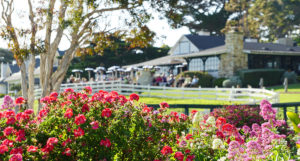 10 Charming Brunch Spots to Visit on The Monterey Peninsula