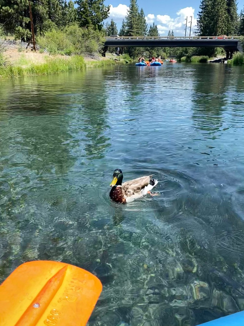 Lake Tahoe Travel Guide - Truckee River Rafting