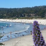 Ecopsychology-and-Grounding-to-Enhance-Health-9