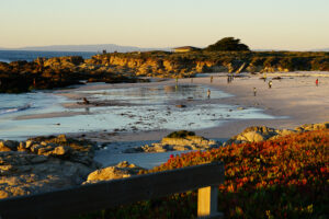 The Ultimate Travel Guide to Pebble Beach, California