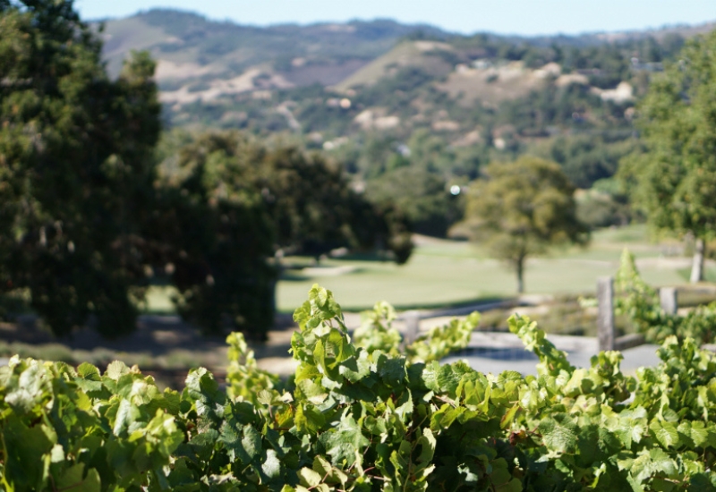 Travel Guide to Carmel Valley, California - Discover Rustic Elegance at These Must-Visit Hotels, Restaurants, and Wineries - Carmel Valley Ranch