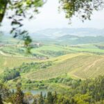 IC-Lifestyle-Images-Releases-The-New-Tuscan-Charm-Collection-of-Photography-Prints-1