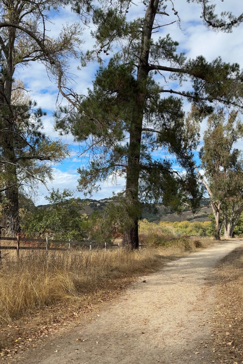 Find Your Inner Zen in Nature: Discover 5 of the Best Hiking Spots on The Monterey Peninsula