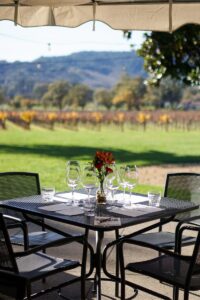 Travel Guide to Sonoma Valley_ Be Inspired to Celebrate The Magic of The Holidays in California's Wine Country