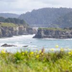 The-Ultimate-Dog-Friendly-Travel-Guide-to-Mendocino-California-1